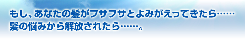 AȂ̔tTtTƂ݂ĂccBттŔ̔Y݂ꂽccB